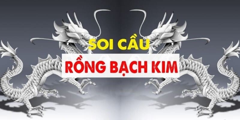 Cách thức tham gia soi cầu 247 tại xổ số rồng bạch kim